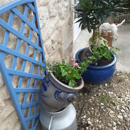 Les Demeures De La Laigne Bed and breakfast *
