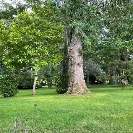 Les Demeures De La Laigne Allas-Bocage