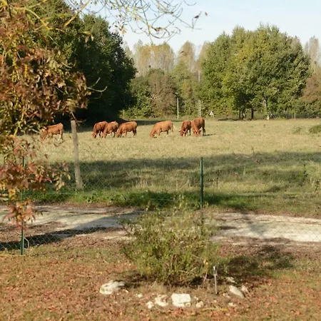 Les Demeures De La Laigne Allas-Bocage