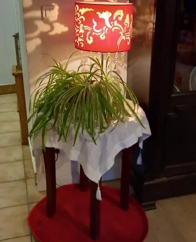 Les Demeures De La Laigne Allas-Bocage