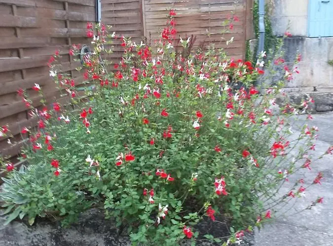 Les Demeures De La Laigne Bed & Breakfast 4*