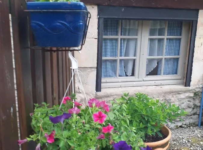 Les Demeures De La Laigne Allas-Bocage