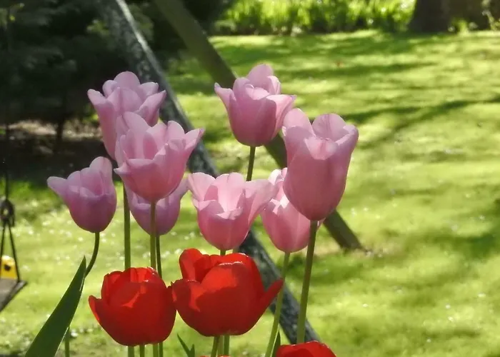 Les Demeures De La Laigne Bed & Breakfast