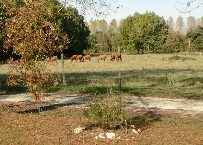 Les Demeures De La Laigne Allas-Bocage